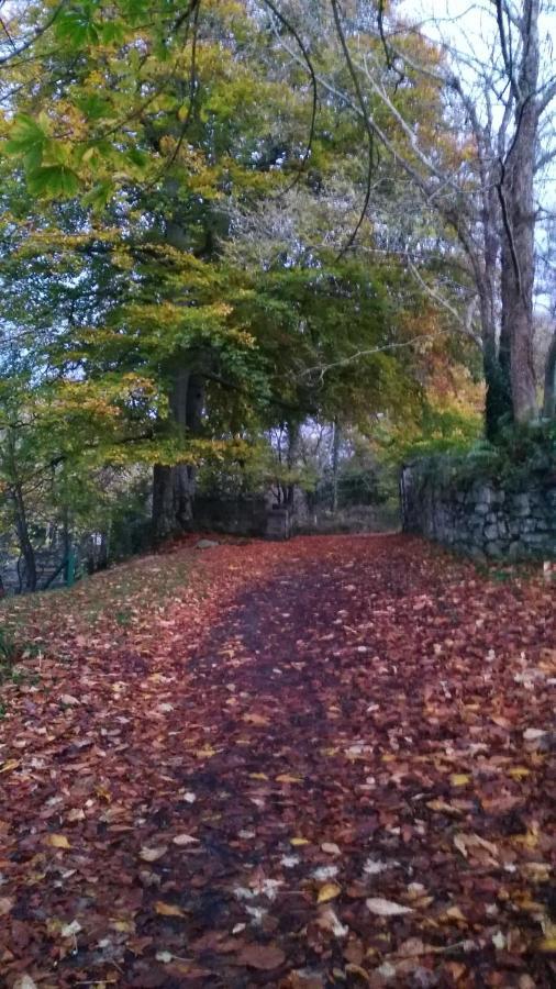 Mill Lane Lejlighed Buncrana Eksteriør billede